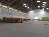 Estrutura APG Transportes e Logística